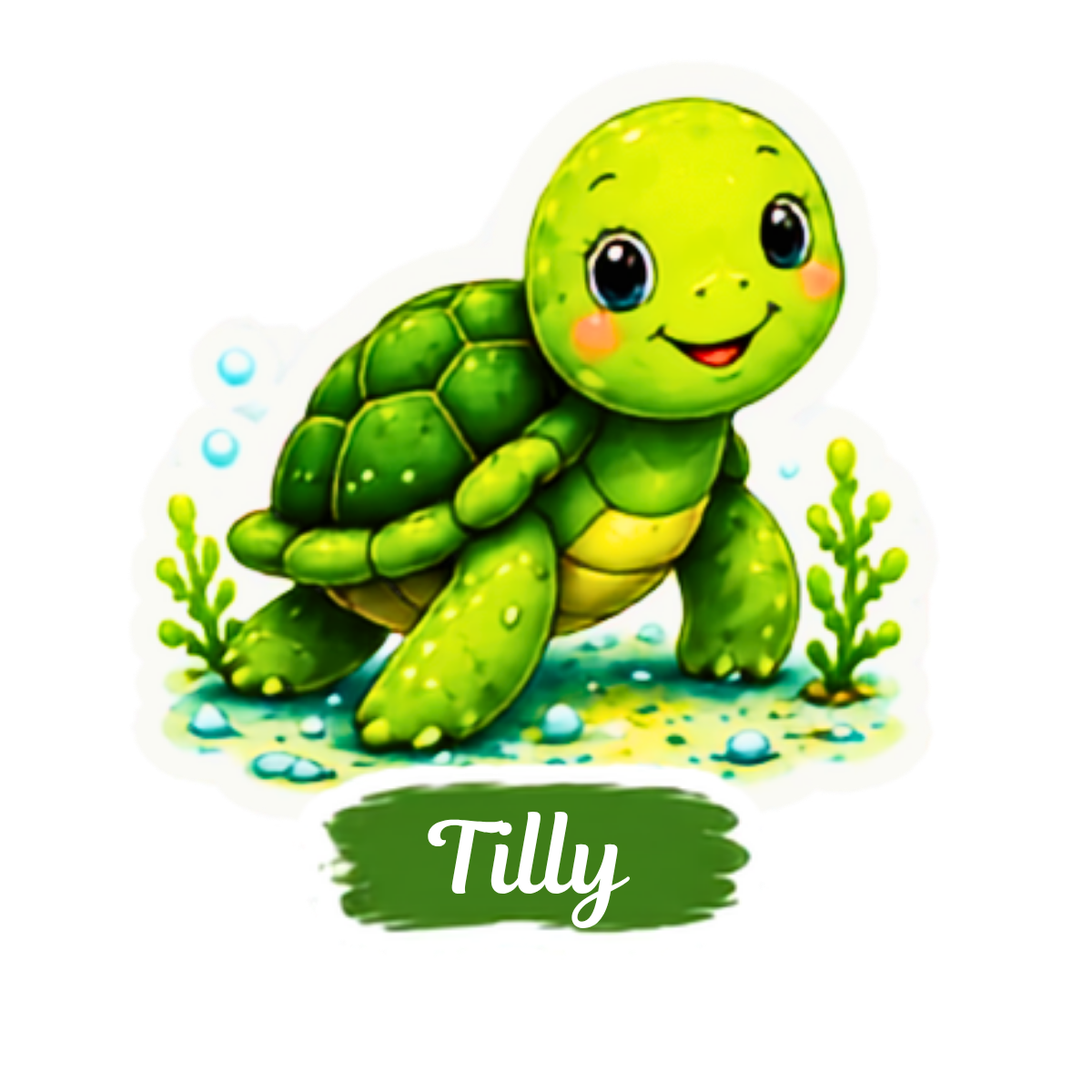 Tilly the Turtle